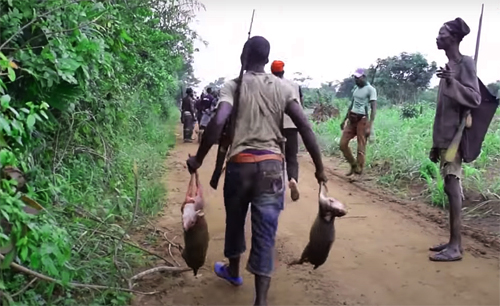 アフリカの野生動物ハンター｜ナイジェリア